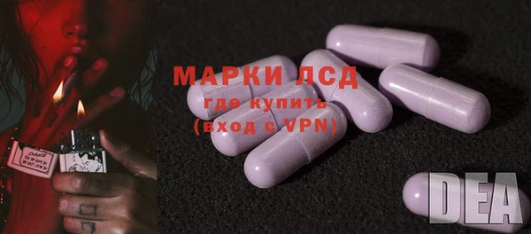 ПСИЛОЦИБИНОВЫЕ ГРИБЫ Иннополис