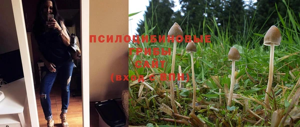 ПСИЛОЦИБИНОВЫЕ ГРИБЫ Иннополис