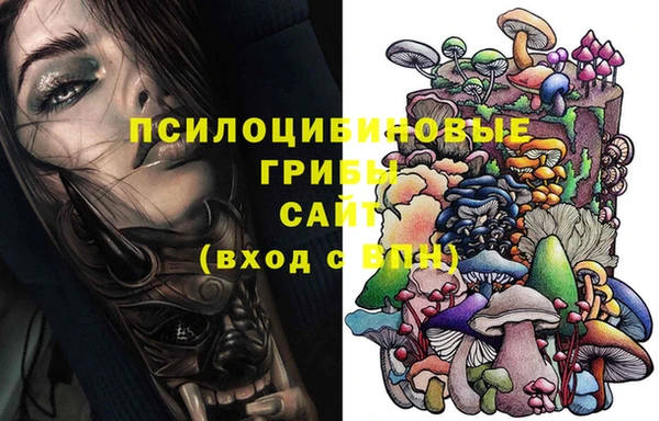ПСИЛОЦИБИНОВЫЕ ГРИБЫ Иннополис