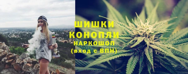 ПСИЛОЦИБИНОВЫЕ ГРИБЫ Иннополис