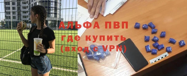 ПСИЛОЦИБИНОВЫЕ ГРИБЫ Иннополис