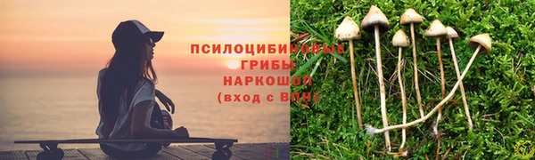 мдма Инсар