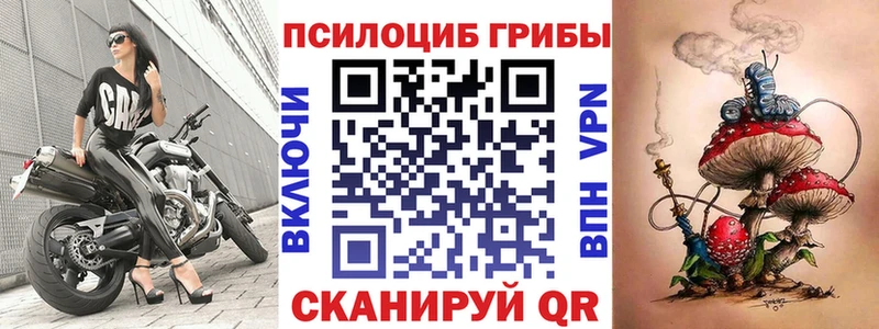 Псилоцибиновые грибы MAGIC MUSHROOMS  Купить закладки  Ликино-Дулёво 