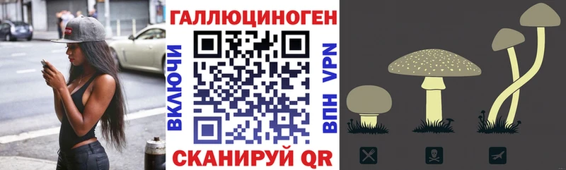 Псилоцибиновые грибы Magic Shrooms Ликино-Дулёво